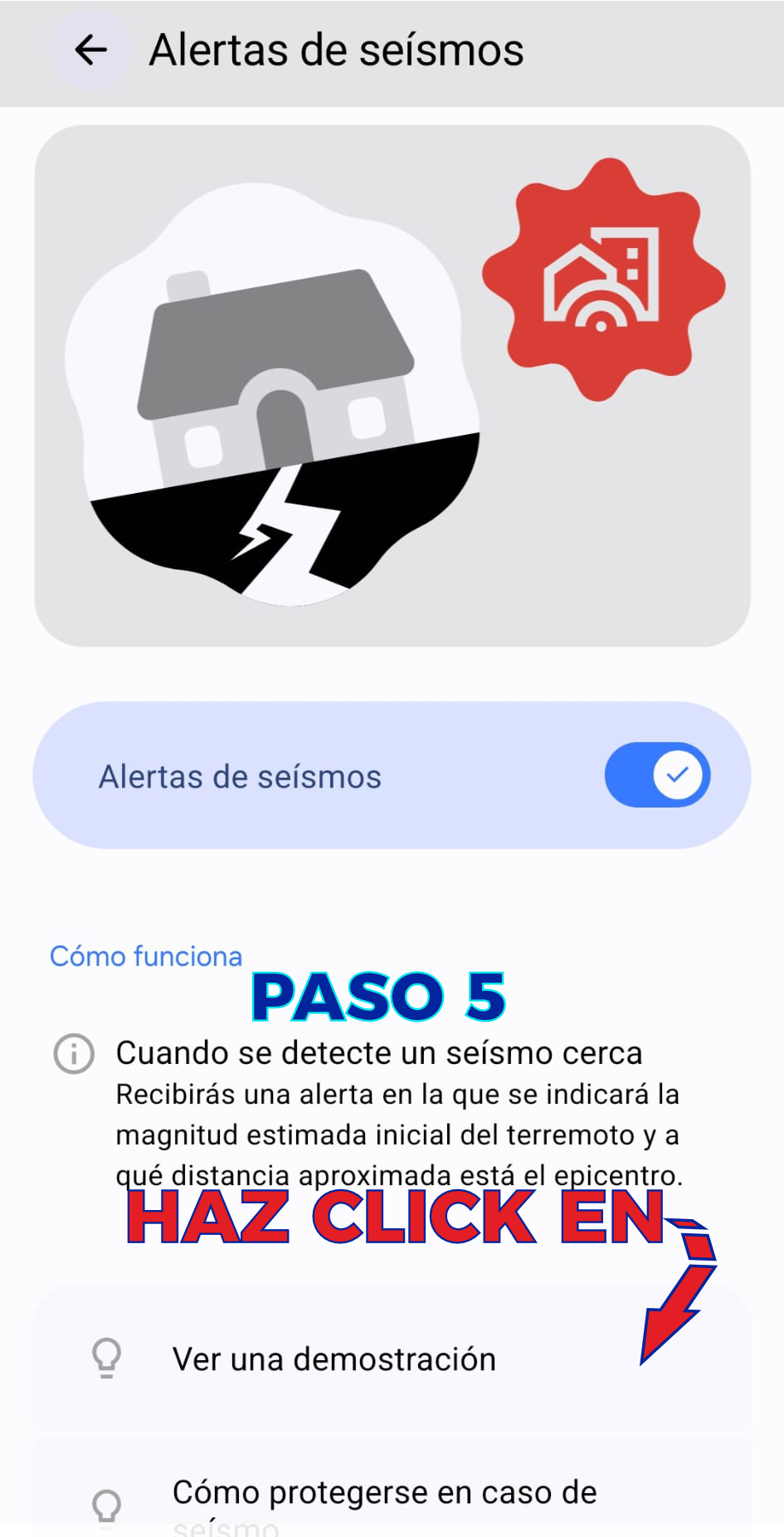 Paso 5